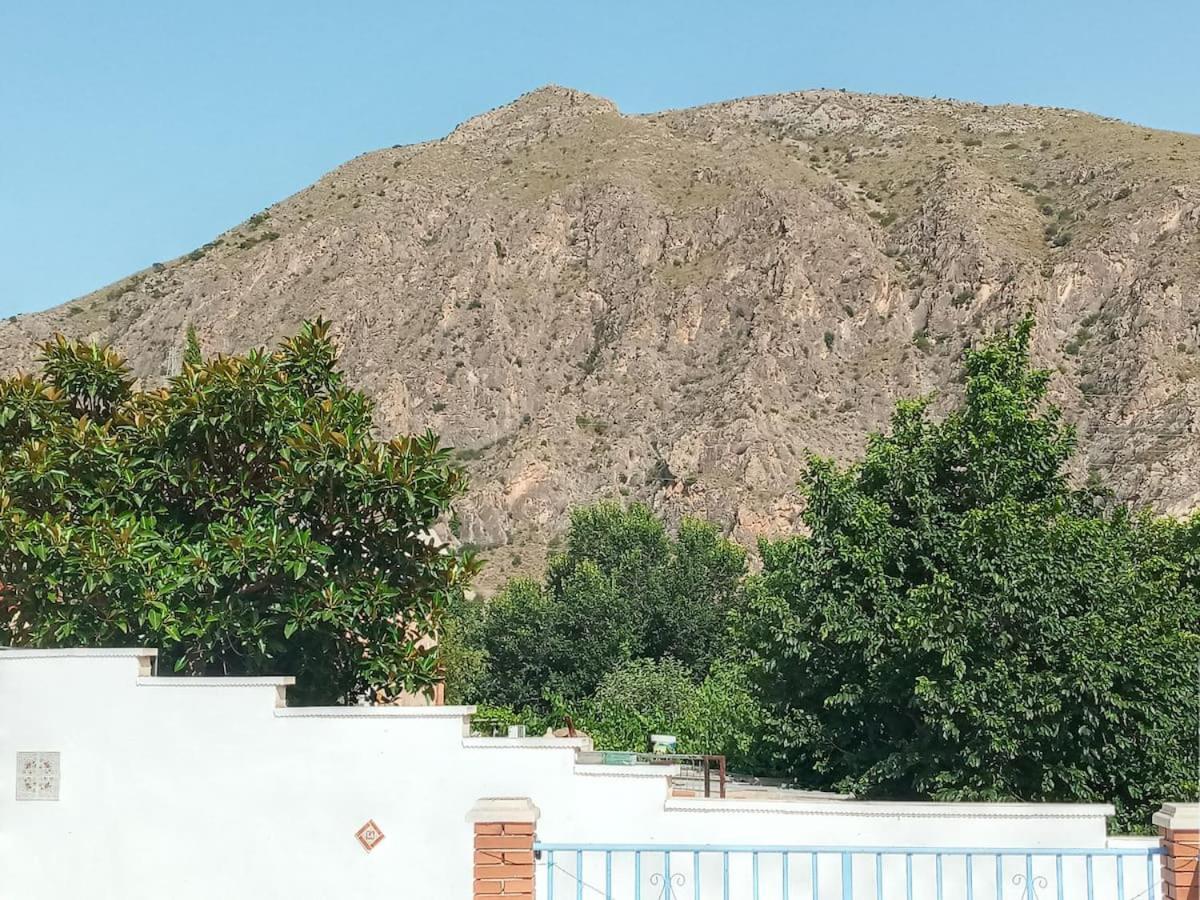 Recovery Mountain 2 Separate Beds In Room B&B Αλικάντε Εξωτερικό φωτογραφία